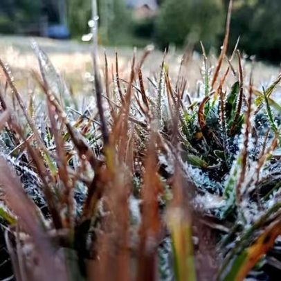 Campos do Jordão registra geada e mínima de 3,1°C, menor temperatura de SP