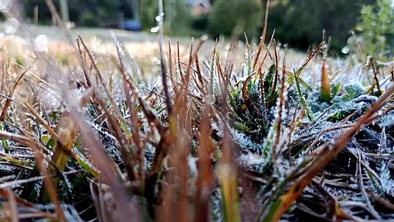 Às vésperas do inverno, Campos do Jordão registra nova manhã com geada e mínima de 3,1°C — Foto: Marcelo Bueno