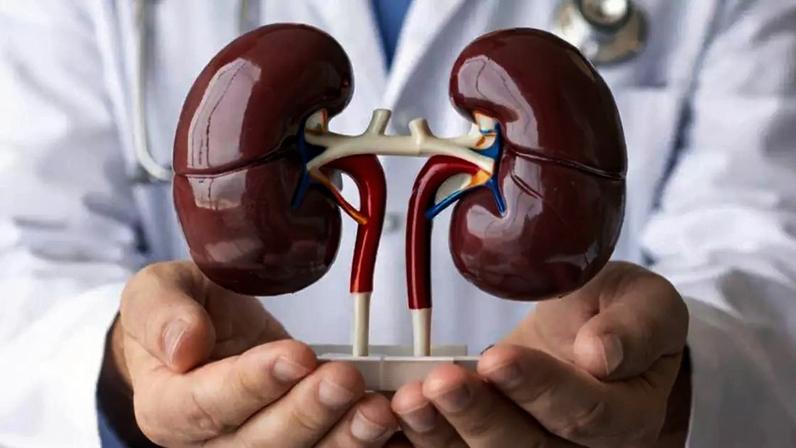 Dia Mundial de Conscientização do Câncer de Rim