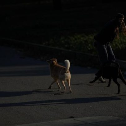 Mulher é atacada por 6 cães em rua do DF e fica ferida