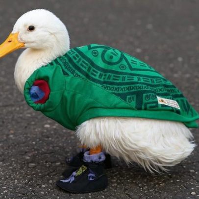 Presidente do México recebe Merlin, mascote da Copa