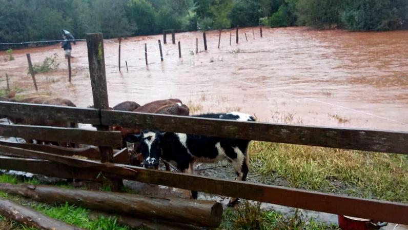 Chuva provoca alagamentos e transtornos cidades do norte e do noroeste do RS. Cidade de Redentora foi um das mais atingidas neste domingo. Mais de 300 casas ficaram alagadas no interior e 20 famílias saíram de suas residências. Em Tucunduva, choveu cerca de 182 milímetros nas últimas horas.