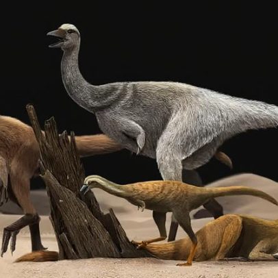 Dinossauro de braços curtos escavava ninhos para comer formigas