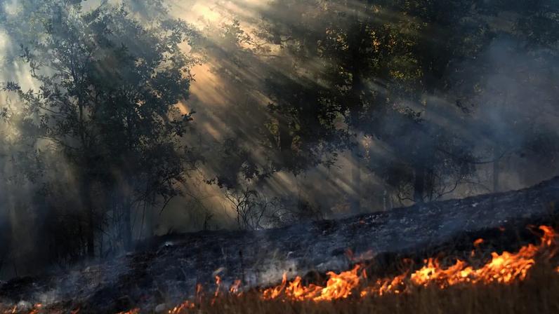 Incêndio florestal em Garano, noroeste da Espanha, está entre os mais de doze focos graves ainda ativos no país. 25/08/2025 - (Cesar Manso/AFP)