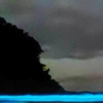Lugares no mundo onde há bioluminescência e as razões do brilho