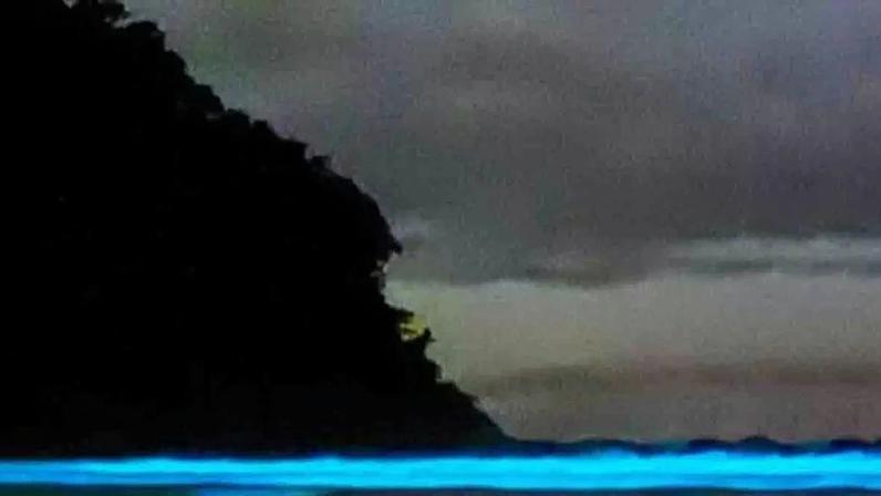 Lugares no mundo onde há bioluminescência e as razões do brilho