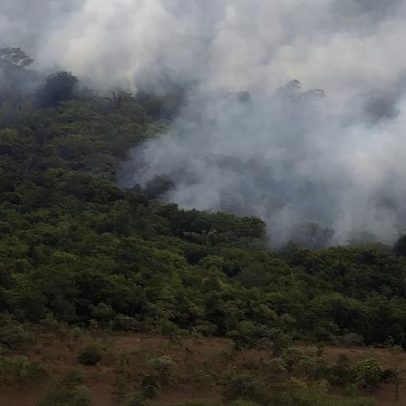 Emissões de gases por incêndios atingem menor nível em 24 anos, Copernicus