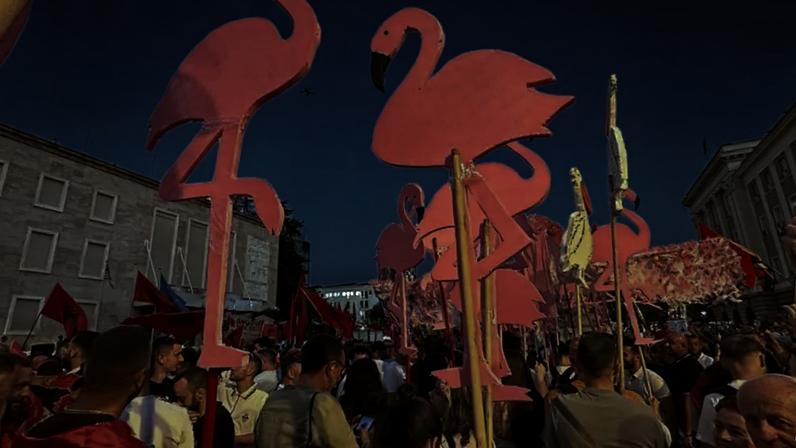 Protesto em Tirana, com manifestantes adotando o flamingo como símbolo dos protestos