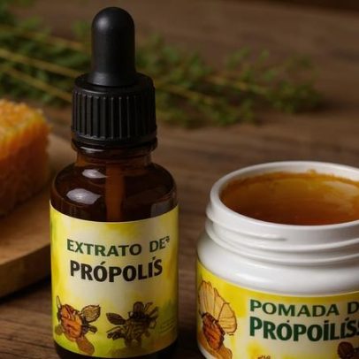 Própolis: entenda por que virou aliado da saúde e da imunidade