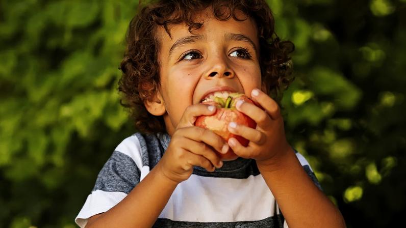 A percepção dos alimentos também é influenciada pela textura, pela aparência e até pelo som produzido durante a mastigação