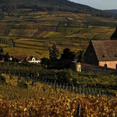Fim da era de ouro das AOC francesas de vinho é tema de debate
