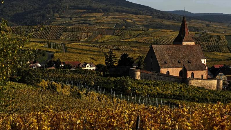 Fim da era de ouro das AOC francesas de vinho é tema de debate