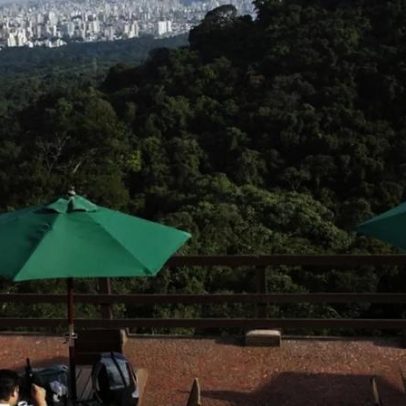 Urbia encerra gestão dos parques Cantareira e Horto; SP prevê relicitação