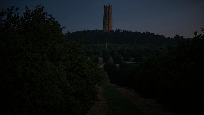 Visão do Bok Tower Gardens, área em Lake Wales, na Flórida Central, que possibilita caminhadas em meio ao verde, uma visão ampla dos arredores também verdes e uma grande "torre cantante"
