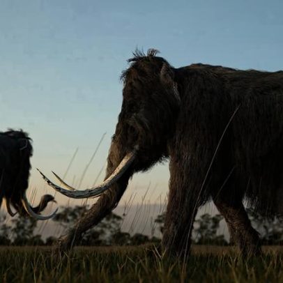 Primeiros americanos se especializaram em caçar grandes mamíferos da Era do Gelo