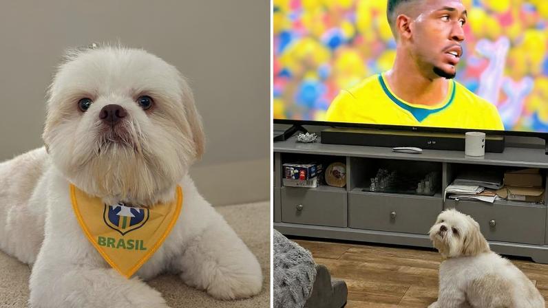 O cachorro Duck assiste a todos os jogos do Brasil na Copa