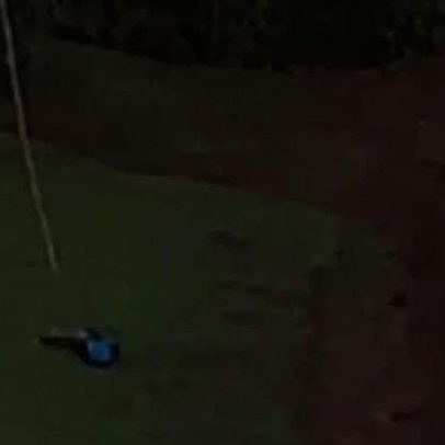 Criança fica ferida após arremesso de jovem sem corda em ponte, no interior de SP