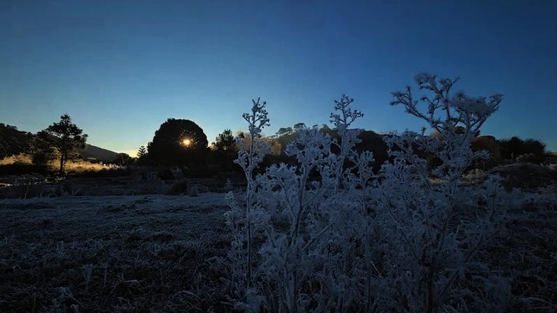 Rio Grande do Sul e Santa Catarina têm alerta laranja para geadas.