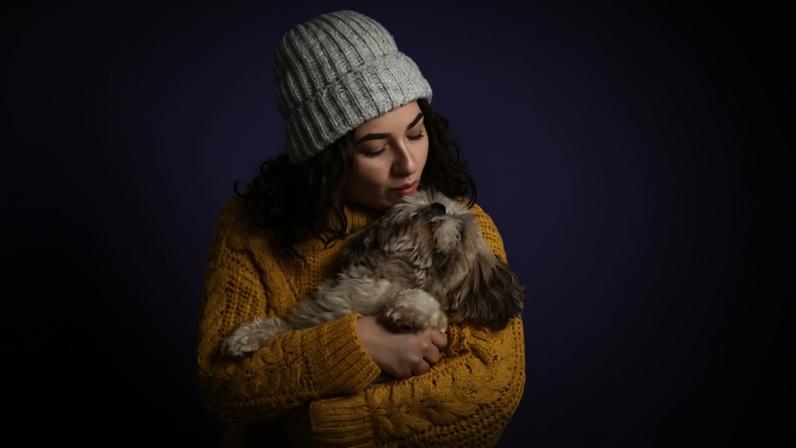 Pets no inverno - (crédito: Freepik)