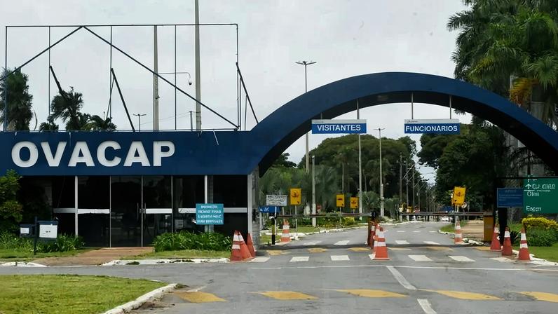Não havia nenhuma sinalização ou barreira de alerta na pista no momento do ocorrido - (crédito: Ed Alves/CB/D.A Press)