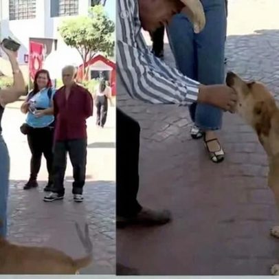 Cachorro tenta comer ponto eletrônico de jornalista ao vivo em Goiás