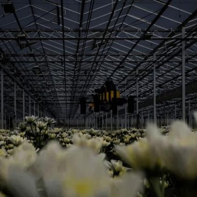 Bee-Nav: nova estratégia de navegação robótica é apresentada