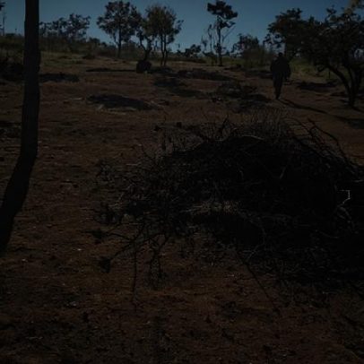 Homens são flagrados cometendo crime ambiental em São Sebastião