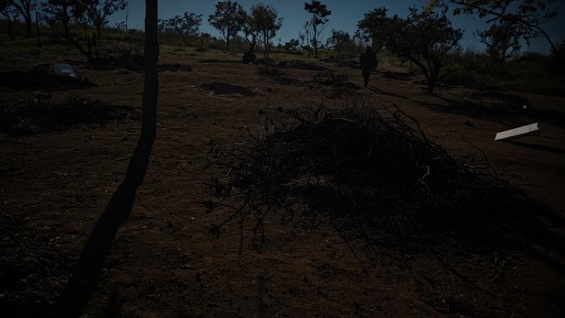 PMDF flagra dois homens extraíndo irregularmente vegetação em área de preservação em São Sebatião - (crédito: Divulgação: PMDF )