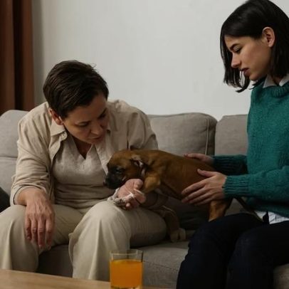 Terapia comportamental para pets: entender para cuidar