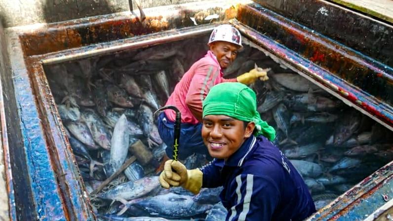 Crew members from Southeast Asia work to unload fish on purse seiners in the Western Pacific Ocean in 2023.