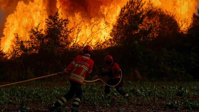 Firefighters work to prevent flames from advancing towards the village of Cercosa during a wildfire in Vouzela, Portugal, July 4, 2026. REUTERS/Pedro Rocha