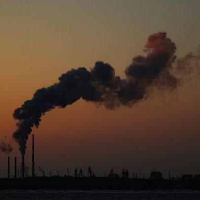 Reduza a pegada de carbono no dia a dia com atitudes simples