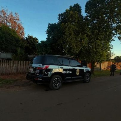 Polícia faz operação contra furto de gado no interior de São Paulo