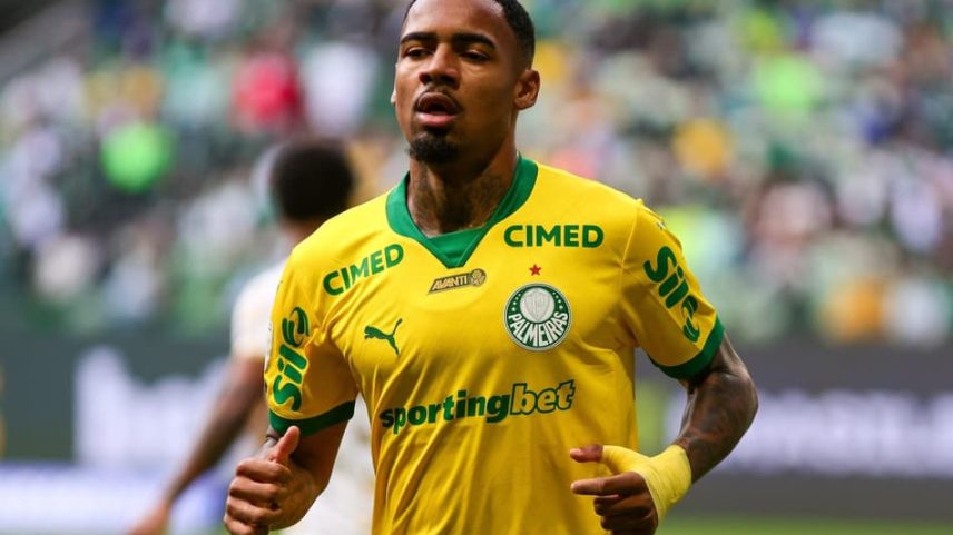 Allan, do Palmeiras, foi expulso contra a Chapecoense (Foto: Yuri Murakami/f2.8 news/Folhapress)