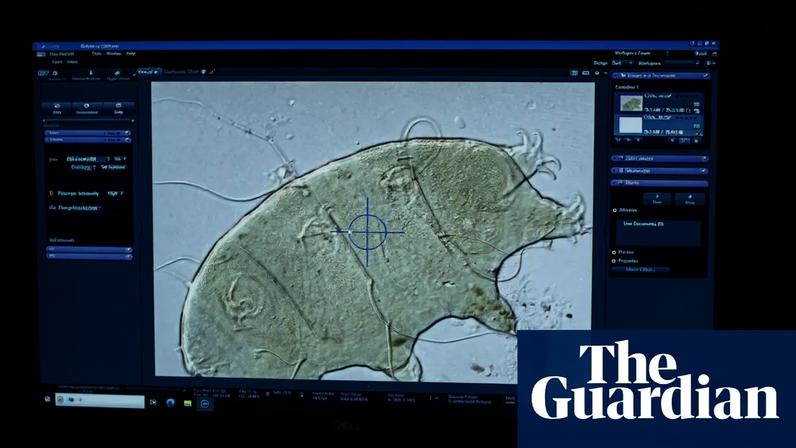 A computer monitor displays a magnified view of a tardigrade while a microscope sits beside it