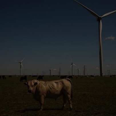Trabalhadores sindicalizados criticam a posição de Trump contra a energia eólica