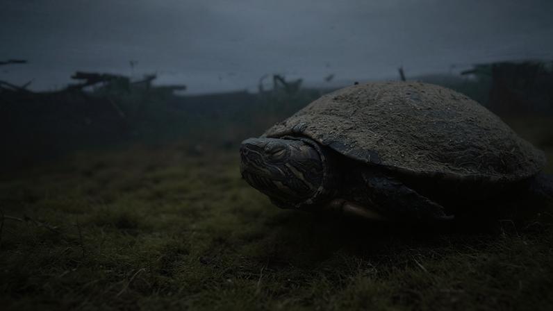 Alguns animais conseguem quase pausar a própria vida para sobreviver sem respirar por muito tempo. (Imagem: Fala Ciência via Gemini)