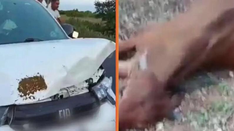 Filho do cantor Neto Araújo sofre acidente a caminho do velório do pai.