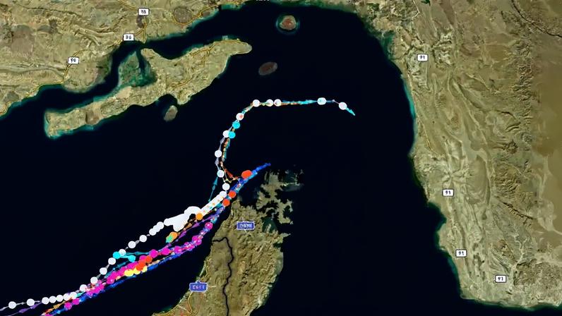 Pelo menos oito embarcações foram vistas fazendo meia-volta ao se aproximarem do Estreito de Hormuz pelo lado de Omã. Desde então, quatro seguiram viagem pela rota iraniana (Bloomberg)
