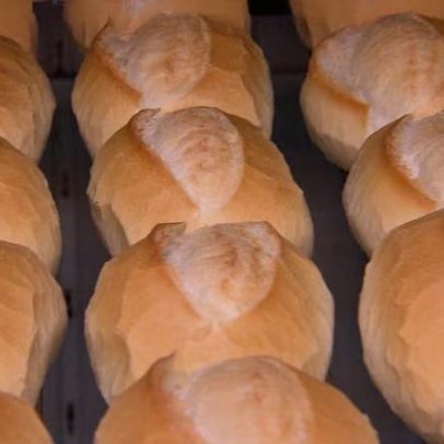 Indústria do trigo celebra expansão do setor no agronegócio brasileiro
