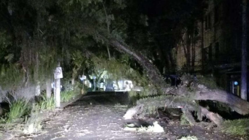 Foto: Divulgação / Porto Alegre 24 horas