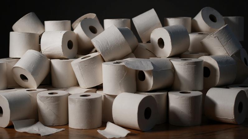 Apenas 70% das pessoas do mundo utilizam papel higiênico