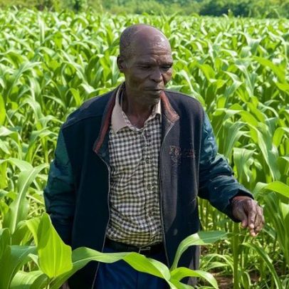 Em escassez: como a Guerra do Golfo ameaça a segurança alimentar do Quênia