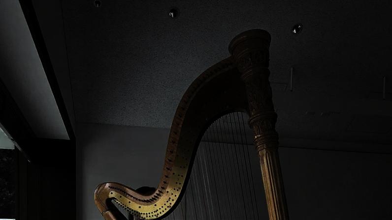 Da Antiguidade aos palcos modernos: a trajetória da harpa