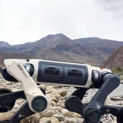 China revela cão-robô capaz de operar em -30ºC e áreas de risco