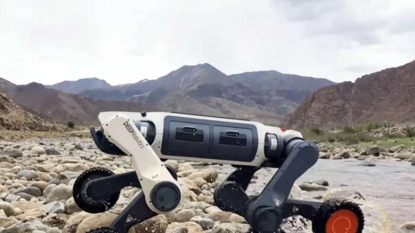 China revela cão-robô capaz de operar em -30ºC e áreas de risco