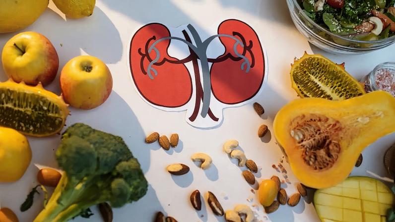 Estudo com quase 180 mil pessoas associa a Dieta Planetária a menor risco de lesão nos rins e reforça impacto do estilo de vida na saúde