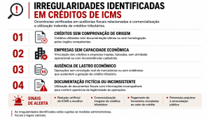 Infográfico mostra quais foram as irregularidades identificadas | Reprodução/MP-SP