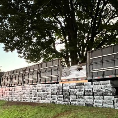 PM apreende mais de 4 toneladas de maconha no interior de SP