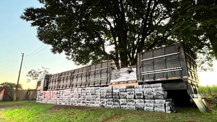 PM apreende mais de 4 toneladas de maconha no interior de SP